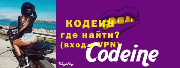 твердый Козельск