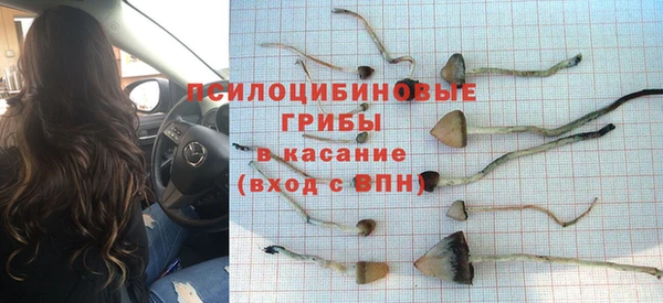 твердый Козельск