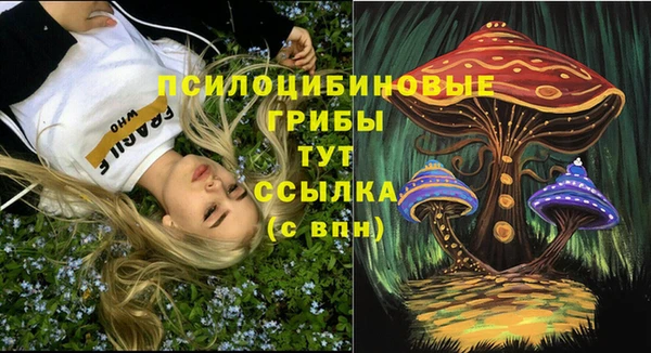 твердый Козельск