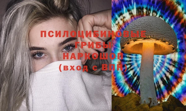 гашик Козловка