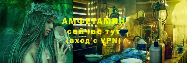 гашик Козловка