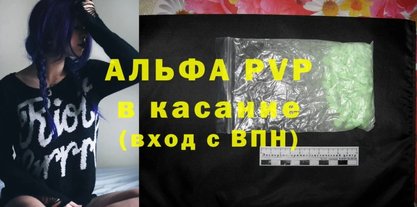 гашик Козловка