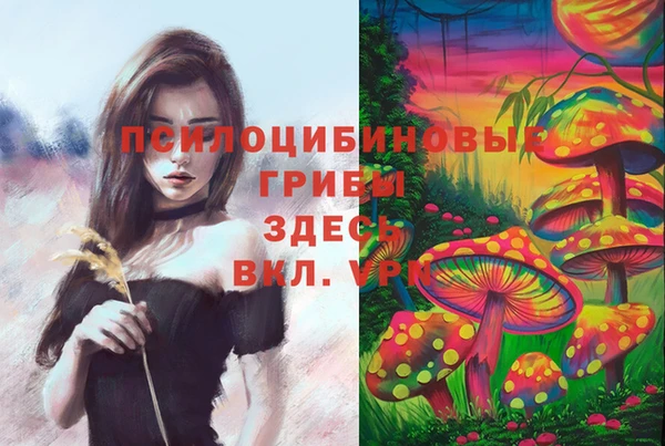 тгк Лабытнанги