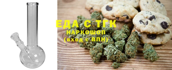 гашик Козловка
